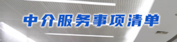 中介服務(wù)事項(xiàng)清單